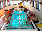 Glass-bottomed boat ride